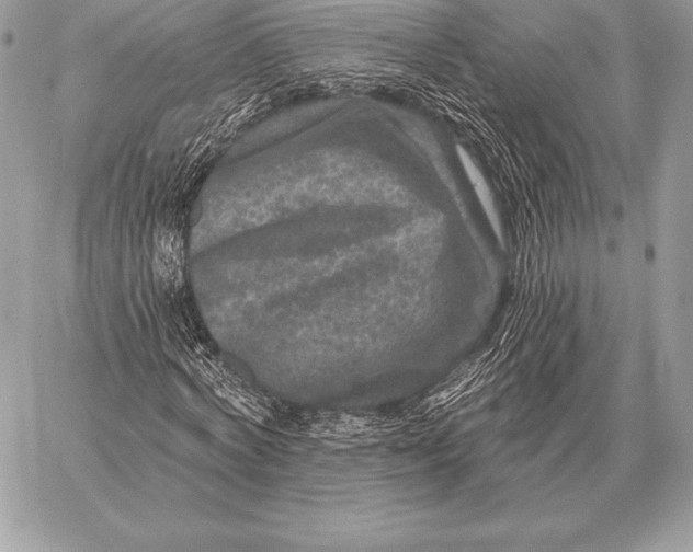 X0000059840772200511111744