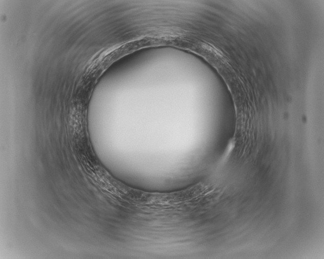 X0000059840773200511111744