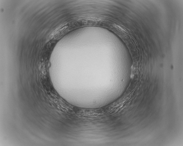 X0000059840774200511111744