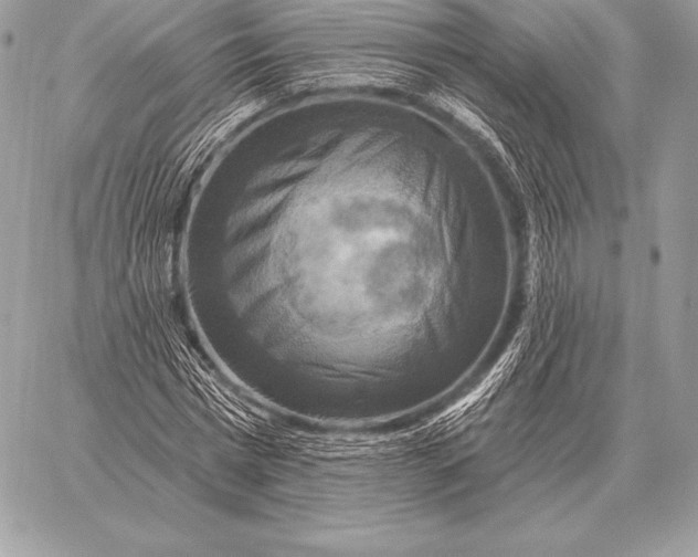 X0000059840777200511111743