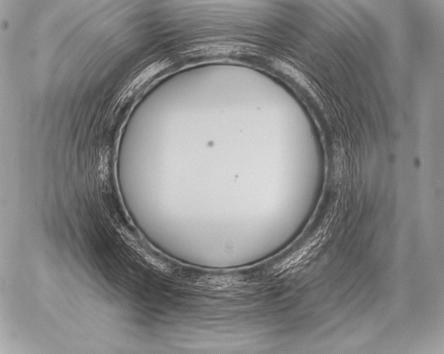 X0000059840778200511111743