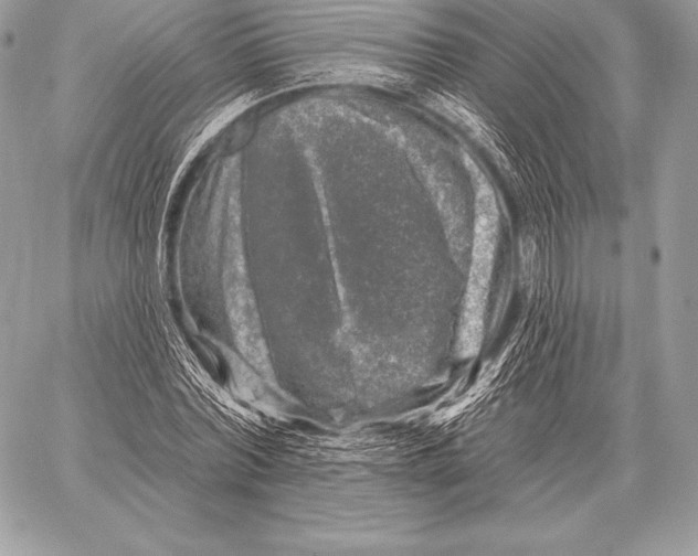 X0000059840780200511111743