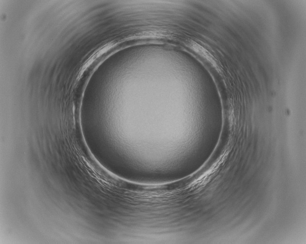 X0000059840781200511111743