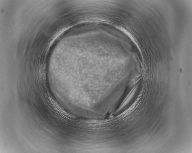 X0000059840783200511111743