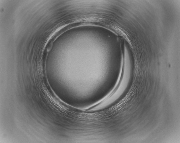 X0000059840784200511111743