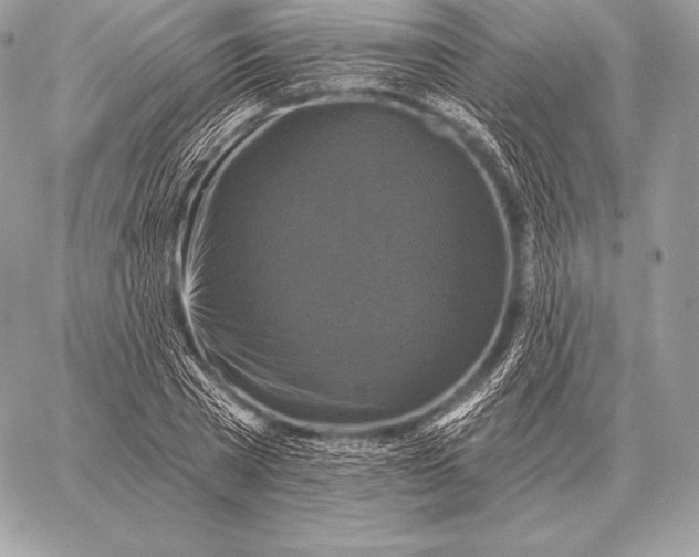 X0000059840785200511111743