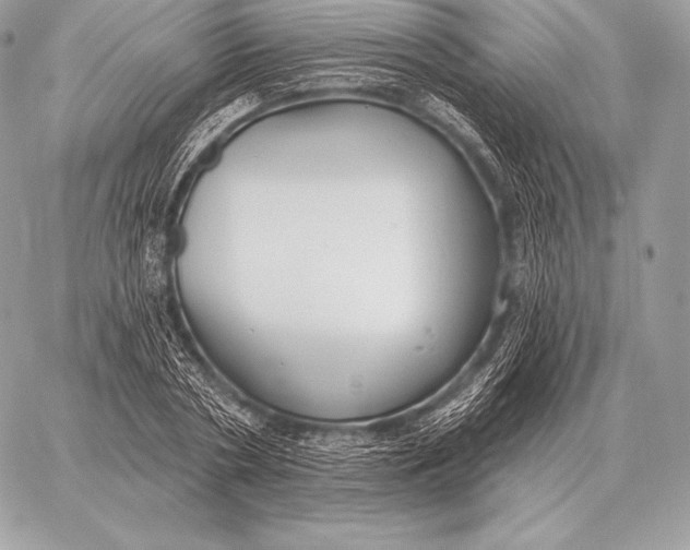 X0000059840786200511111743