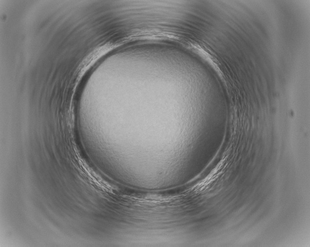 X0000059840787200511111743