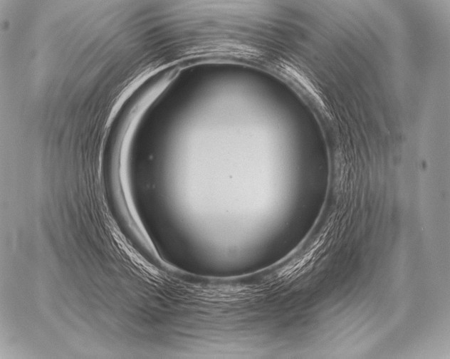 X0000059840788200511111743