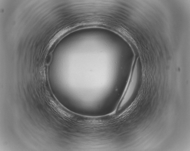 X0000059840789200511111743