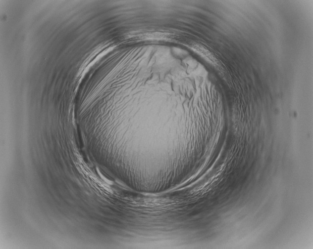 X0000059840790200511111743