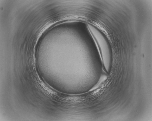 X0000059840792200511111743