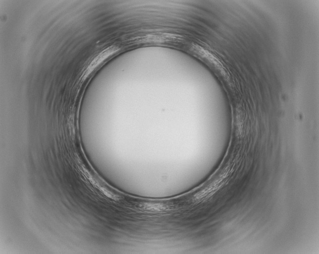 X0000059840794200511111743