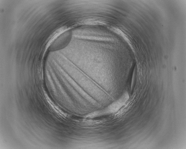 X0000059840795200511111743