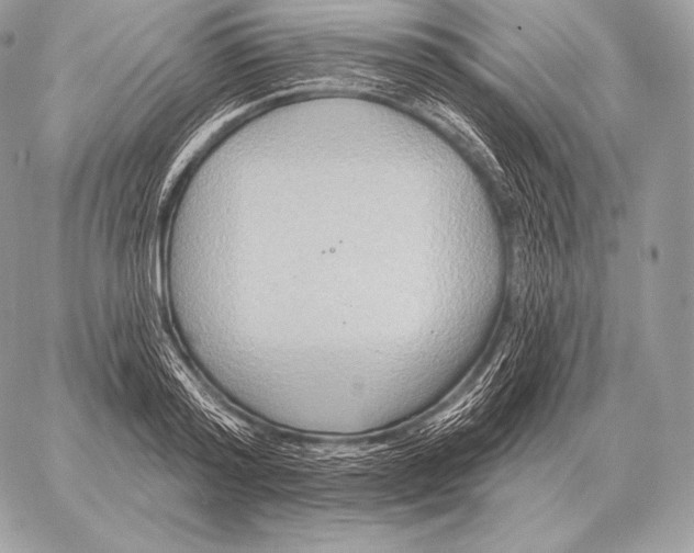 X0000059840796200511111743