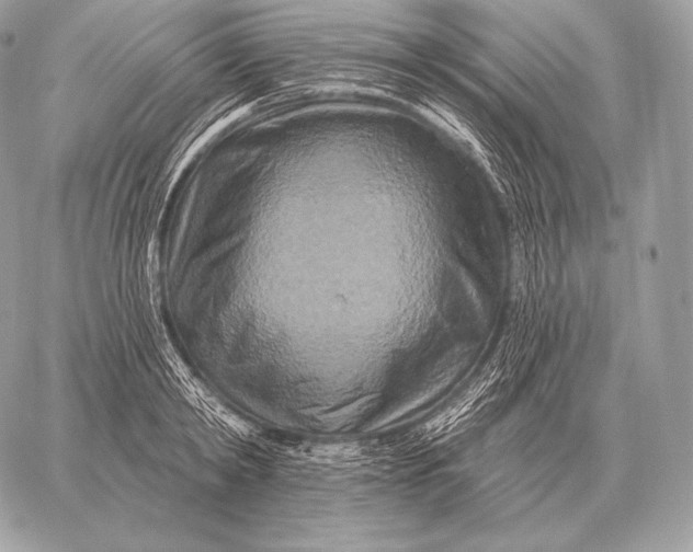 X0000059840798200511111743