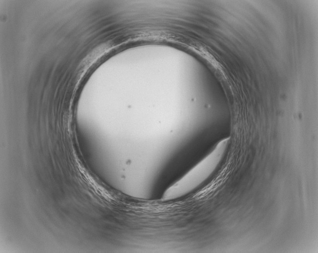 X0000059840799200511111743