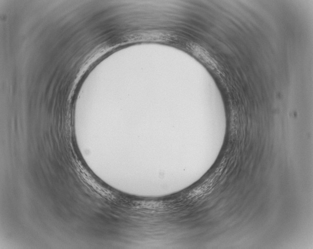 X0000059840800200511111743