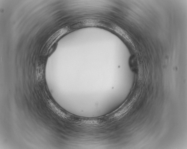 X0000059840801200511111743