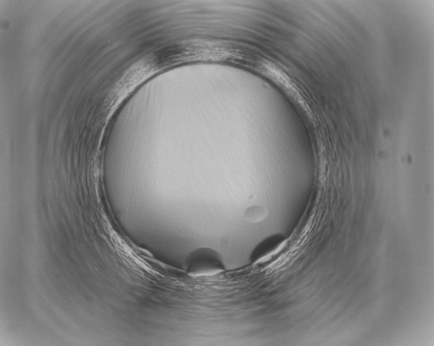 X0000059840802200511111743