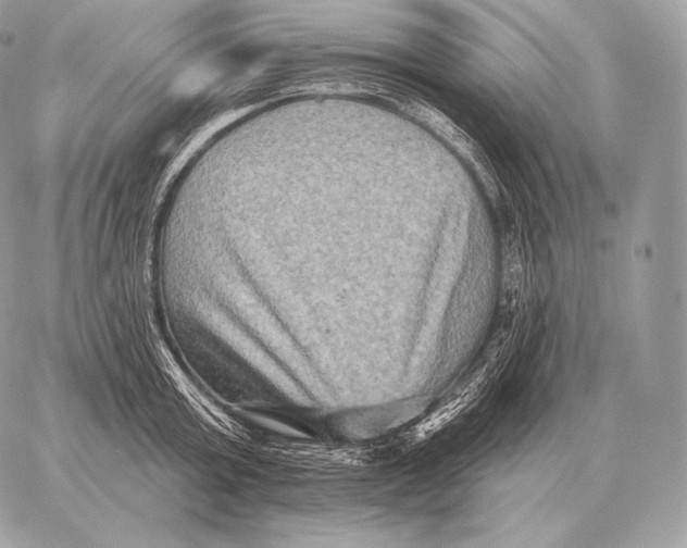 X0000059840803200511111743