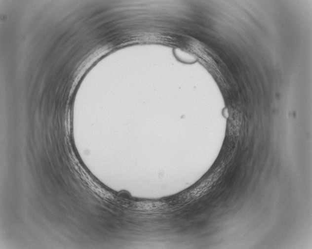 X0000059840804200511111743