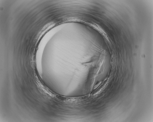 X0000059840806200511111743