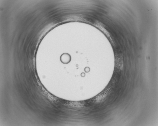 X0000059840807200511111743