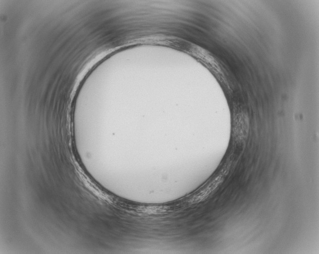 X0000059840808200511111743