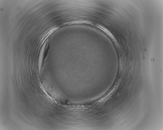 X0000059840809200511111743