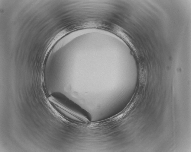 X0000059840810200511111743