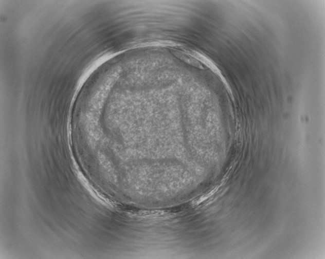 X0000059840811200511111743