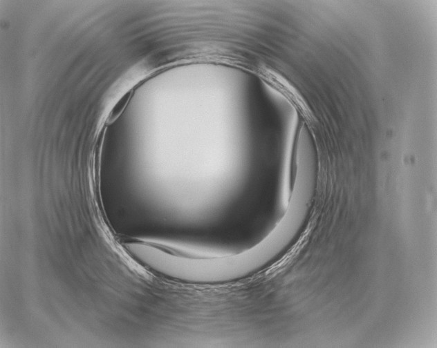 X0000059840812200511111743