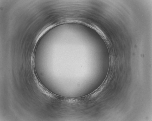 X0000059840814200511111743