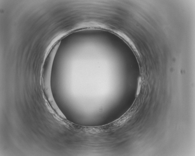 X0000059840815200511111743