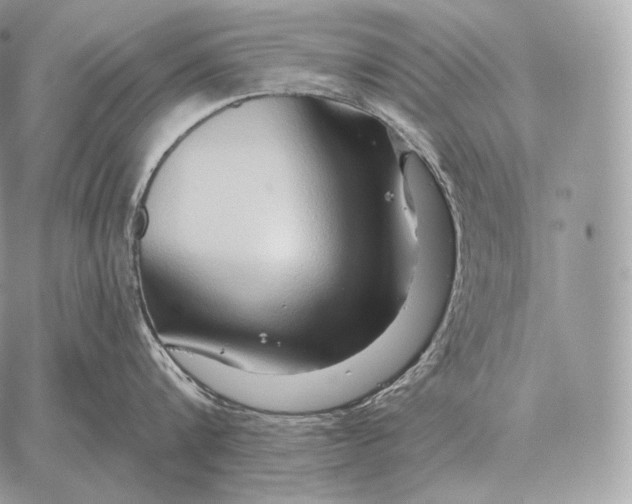 X0000059840816200511111743