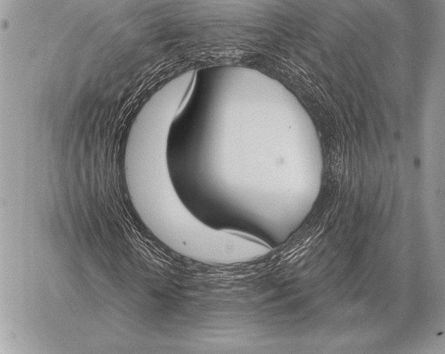 X0000059840818200511111742