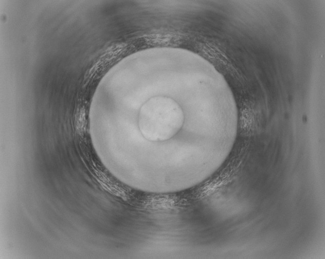 X0000059840820200511111742