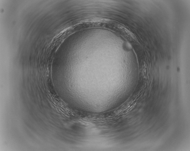 X0000059840821200511111742