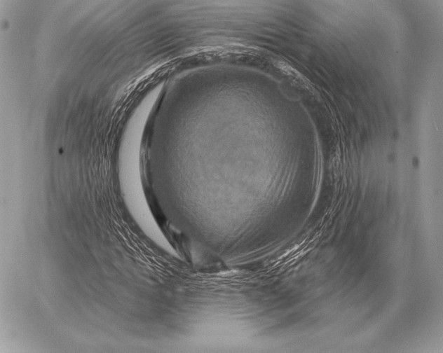 X0000059840822200511111742