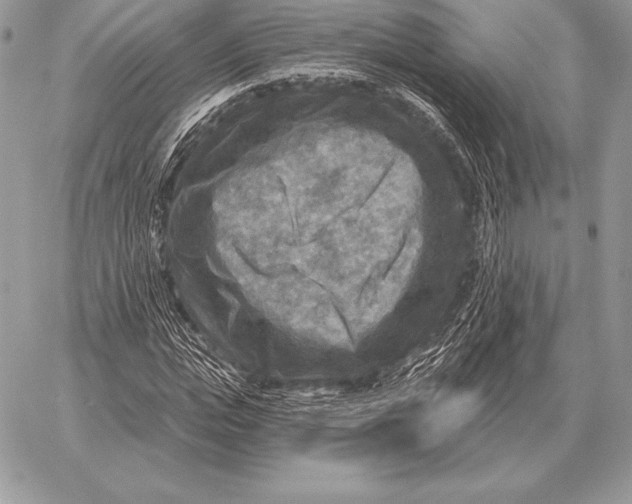 X0000059840823200511111742