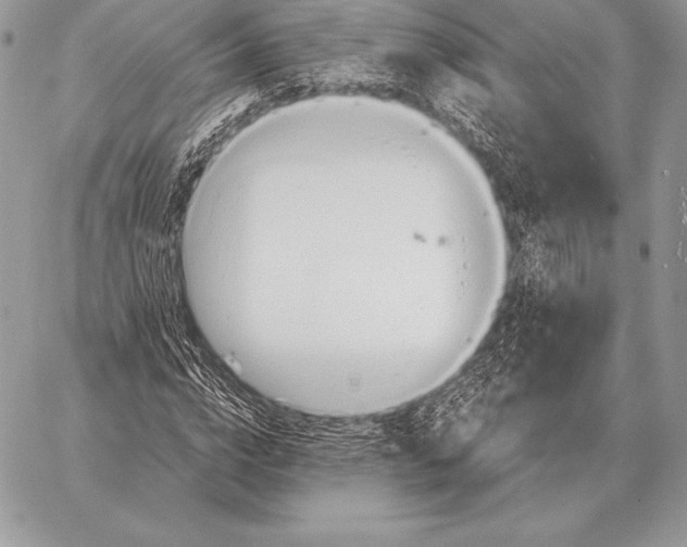 X0000059840824200511111742