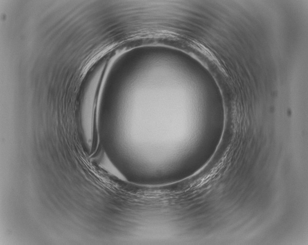 X0000059840826200511111742