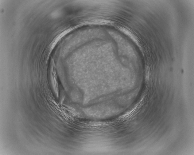 X0000059840829200511111742