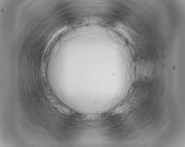 X0000059840832200511111742