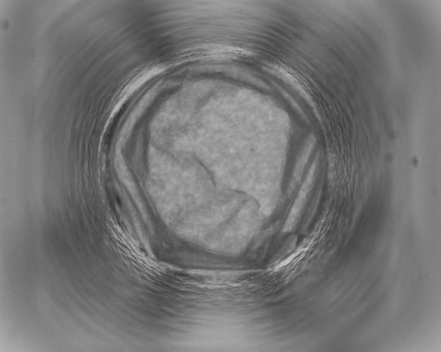 X0000059840835200511111742