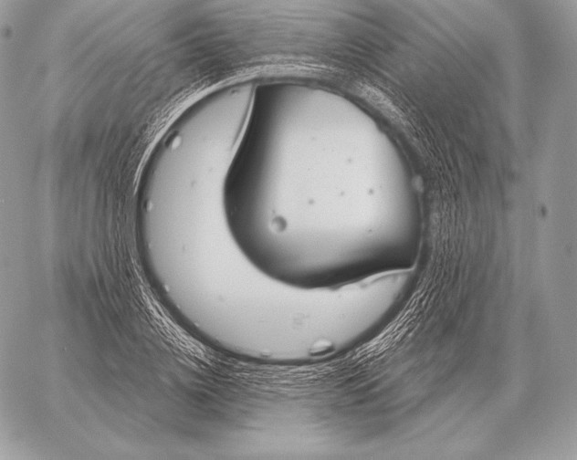 X0000059840836200511111742