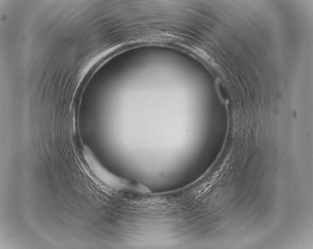 X0000059840838200511111742