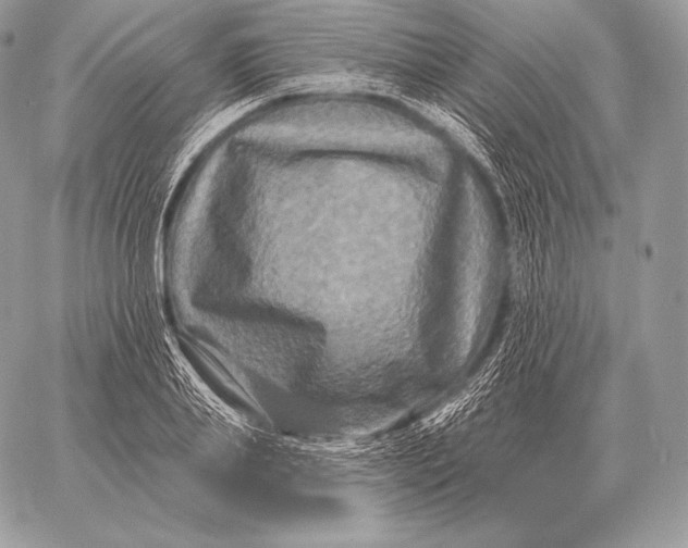 X0000059840839200511111742