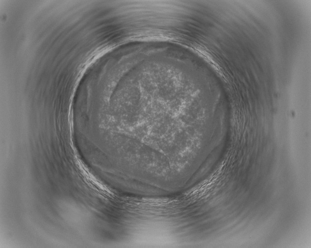 X0000059840840200511111742